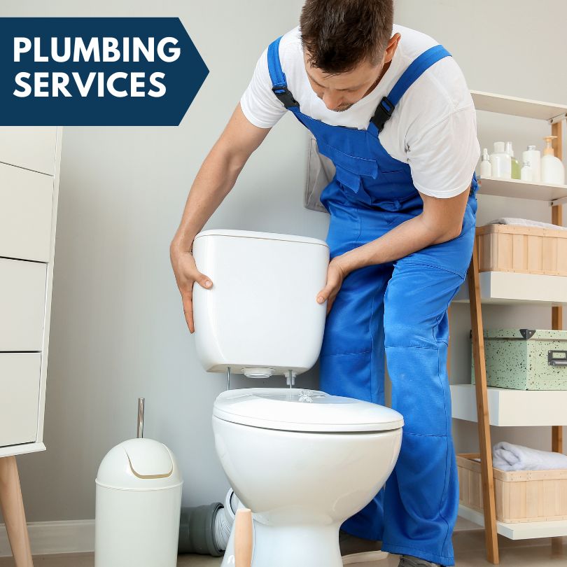 Plumbing Company in Colon, MI